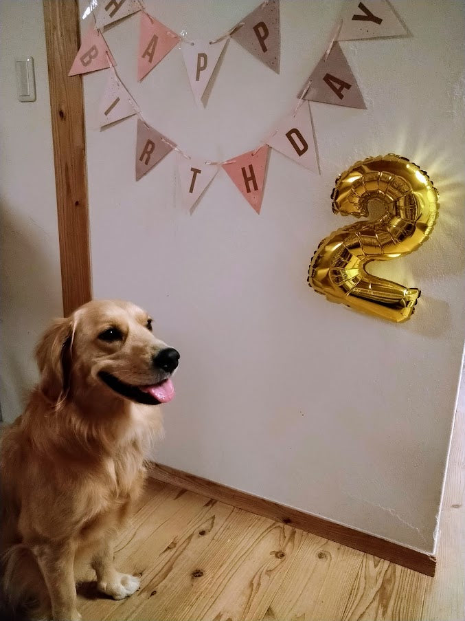 ポポ 2歳の誕生日