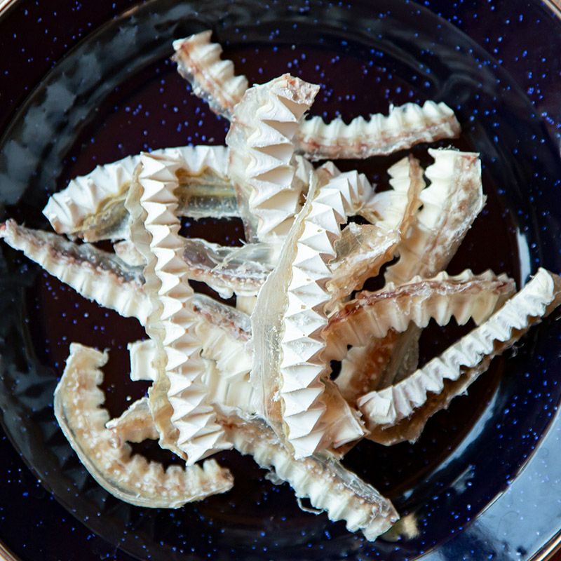 【当店オススメ】UMINO PET サメ軟骨スティック